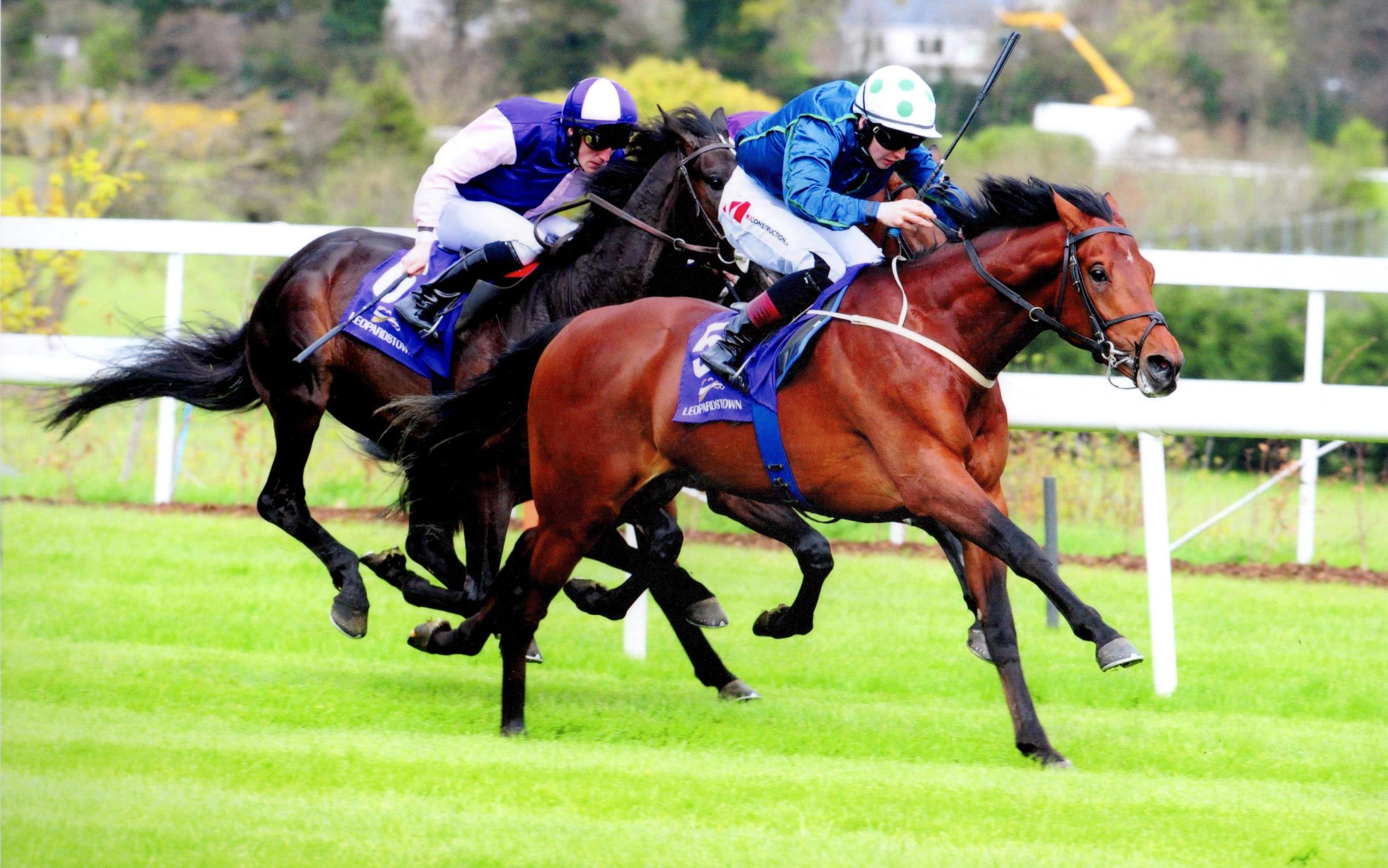 INSAYSHABLE wins his maiden at Leopardstown for owner Homer Scott 6th April 2017